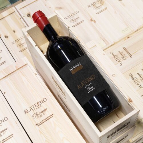 Alaterno-Magnum