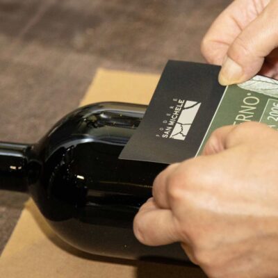 Alaterno Magnum Podere San Michele