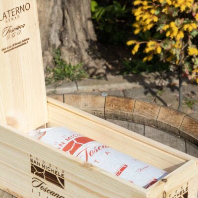 Alaterno Magnum Podere San Michele